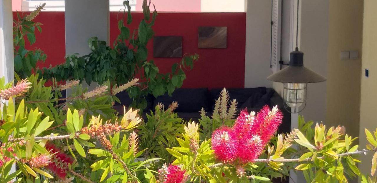 Holiday Homes Mare Premantura Esterno foto
